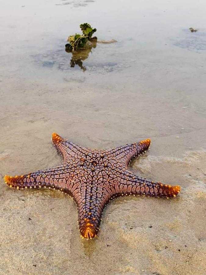 Sea Shell Hut Aparthotel Νησί Phi Phi Εξωτερικό φωτογραφία